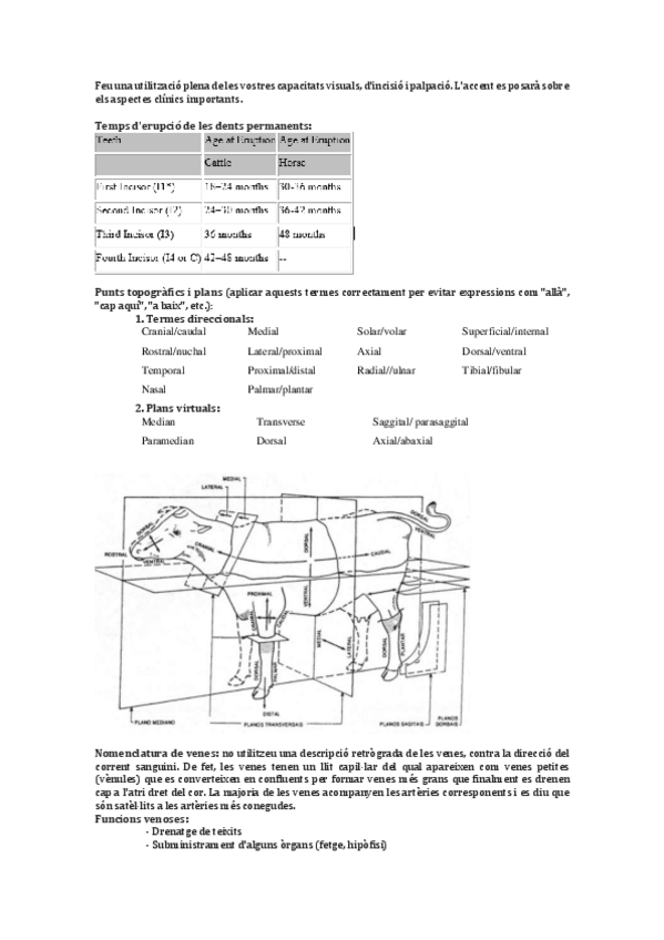 Miniatura del documento GREFACSA.pdf