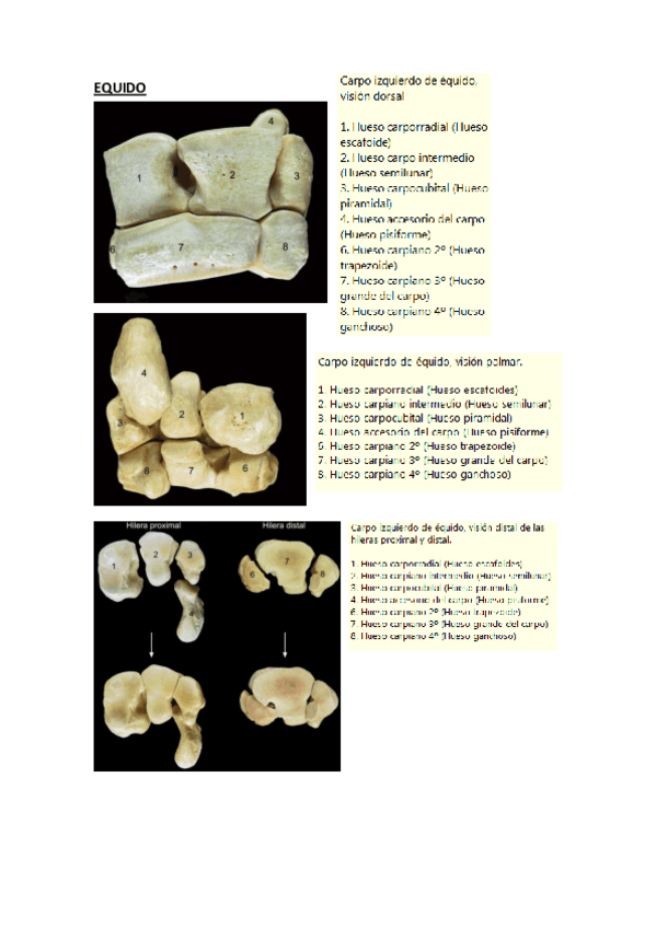 Miniatura del documento Practica-5.pdf
