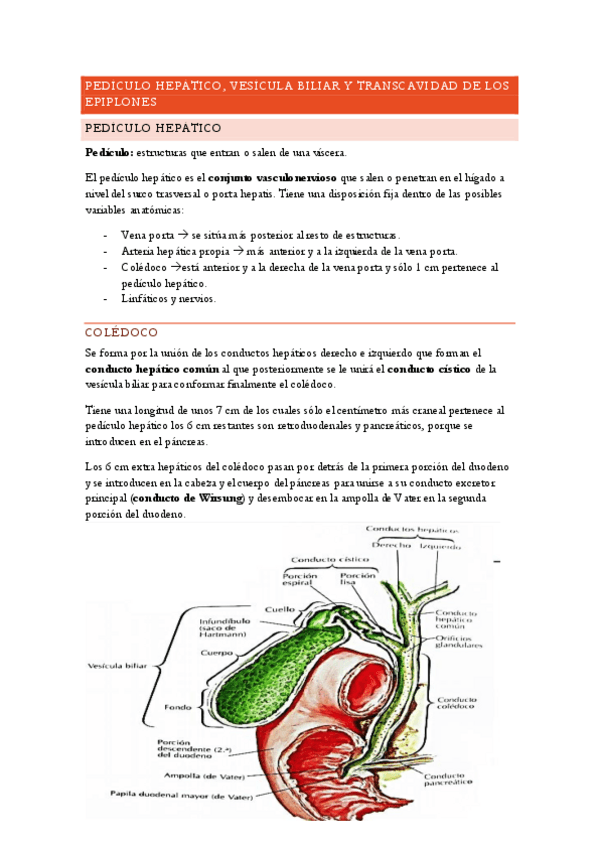 Miniatura del documento PEDICULO-HEPATICO.pdf