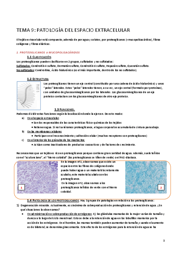Miniatura del documento TEMA 9 AP. Enfermedades del espacio extracelular.pdf