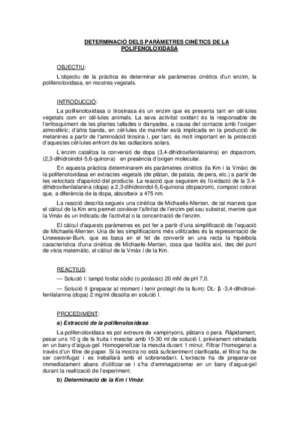 Miniatura del documento protocol.pdf