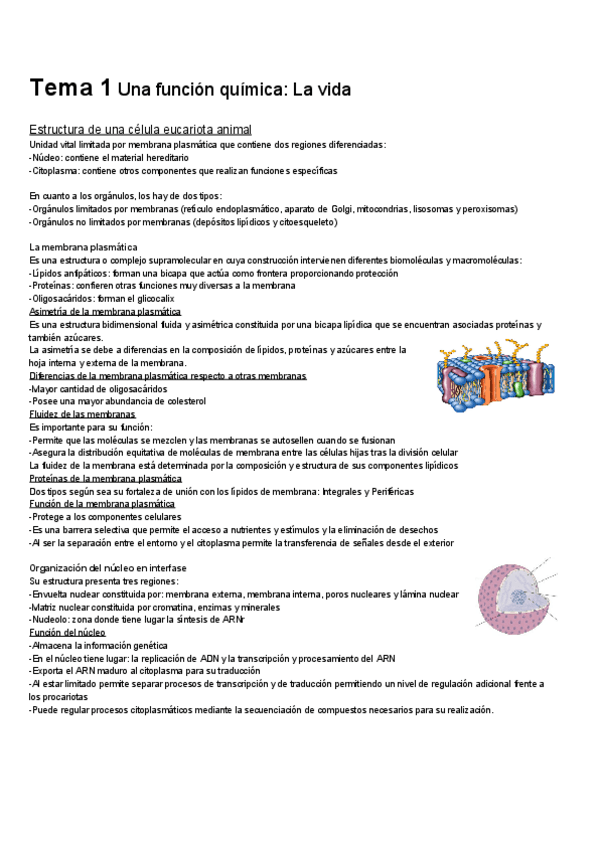 Miniatura del documento Tema-1-.pdf