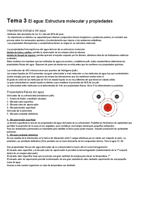 Miniatura del documento Tema-3.pdf