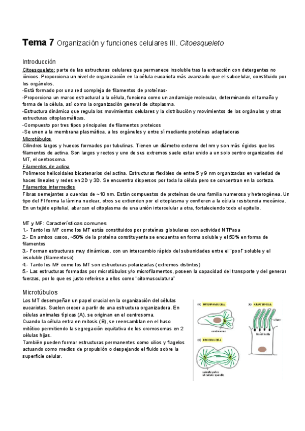 Miniatura del documento Tema-7.pdf