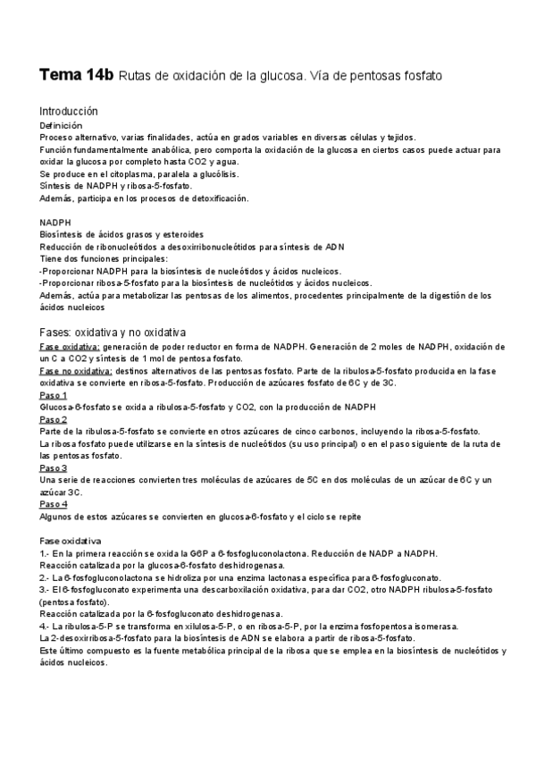 Miniatura del documento Tema-14b-.pdf