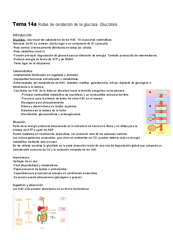 Miniatura del documento Tema-14a.pdf