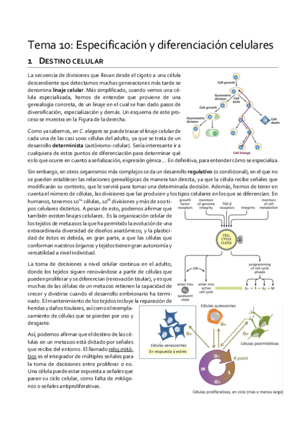 Miniatura del documento Tema-10.pdf