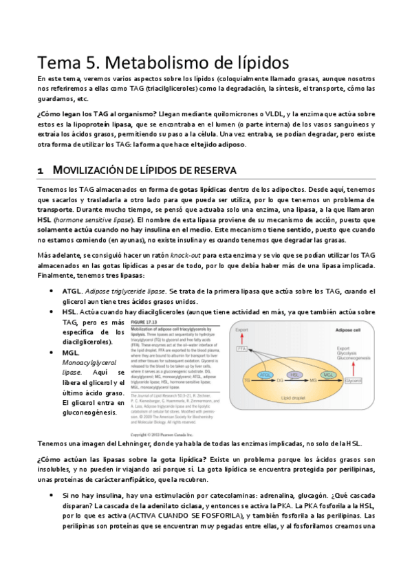 Miniatura del documento Tema-5-limpio.pdf