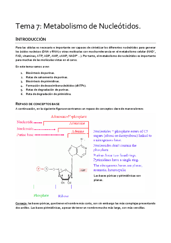 Miniatura del documento Tema-7-Metabolismo.pdf