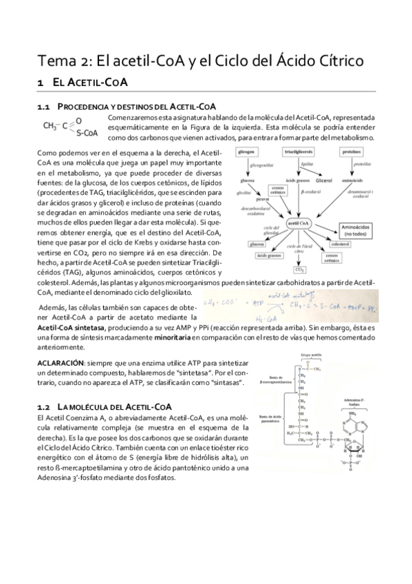 Miniatura del documento Tema-2.pdf