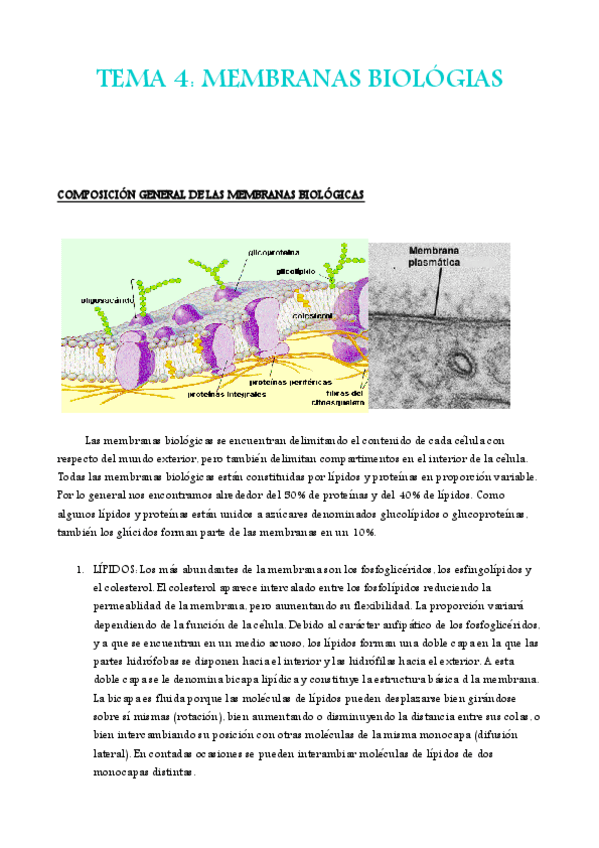 Miniatura del documento TEMA 4.pdf
