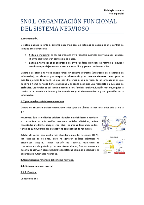 Miniatura del documento TEMA-2-SN01-Resumen.pdf
