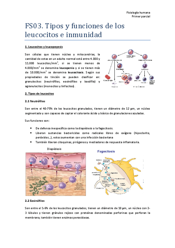 Miniatura del documento TEMA-3-FS03-Resumen.pdf