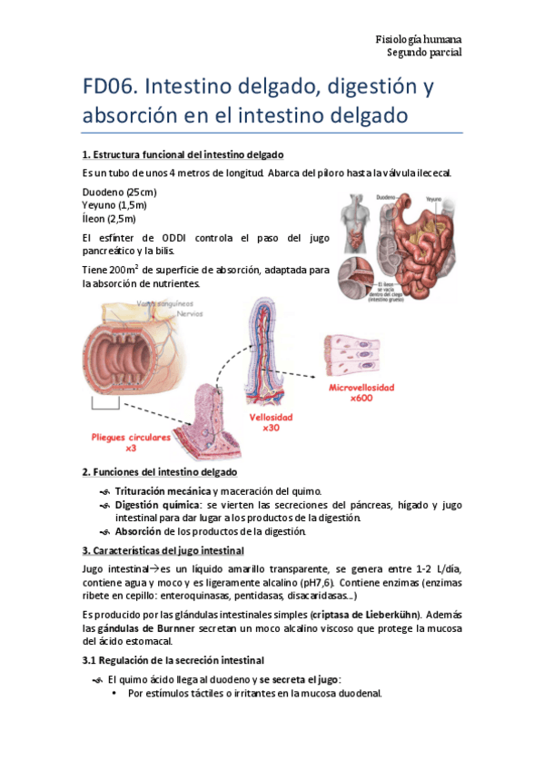 Miniatura del documento Tema-4-FD06.pdf