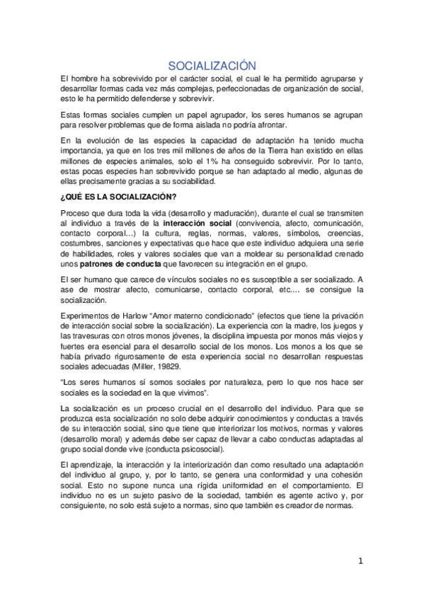 Miniatura del documento SOCIALIZACION.docx