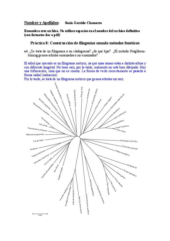 Miniatura del documento GARRIDOCHAMORROSONIAP8.pdf