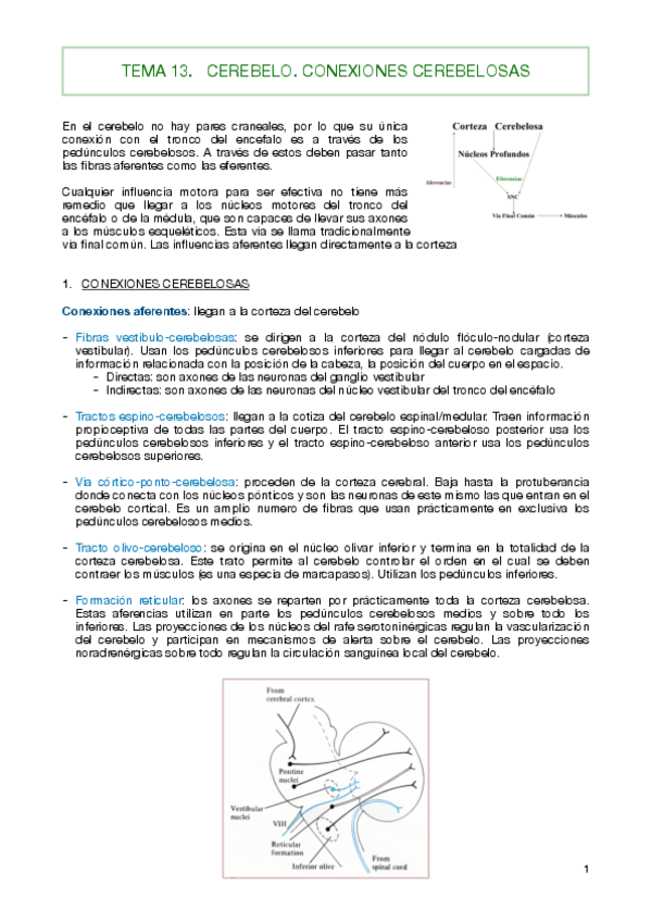 Miniatura del documento TEMA-13.pdf