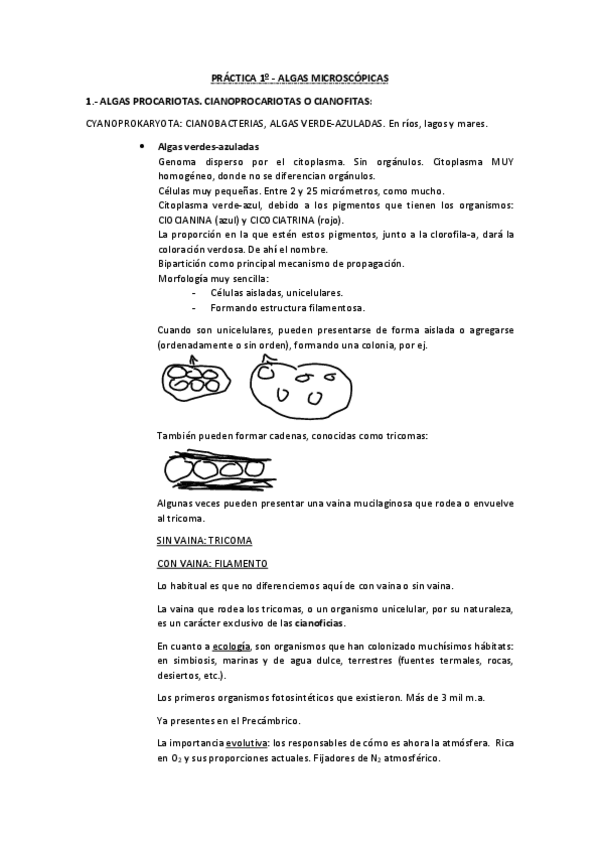 Miniatura del documento PRACTICAS-BOTANICA-CRIPTOGAMICA.pdf