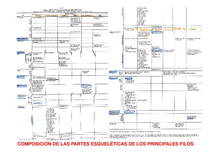 Miniatura del documento TAFONOMIA.pdf