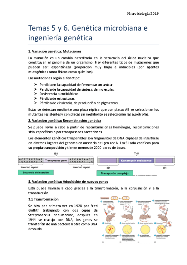 Miniatura del documento Tema-5-y-6.pdf