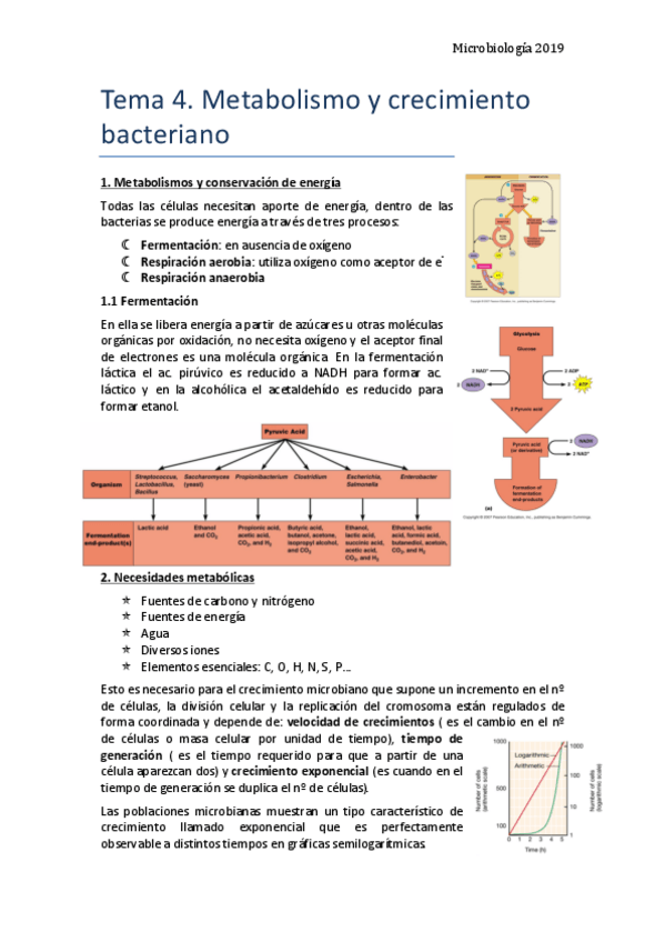 Miniatura del documento Tema-4.pdf