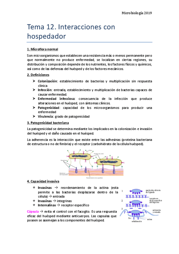 Miniatura del documento Tema-12.pdf