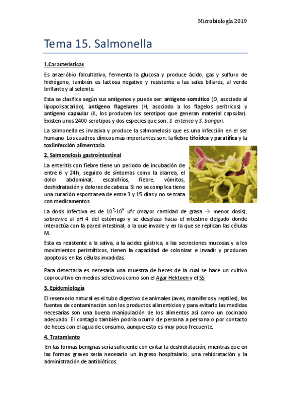 Miniatura del documento Tema-15.pdf