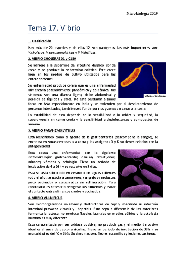 Miniatura del documento Tema-17.pdf