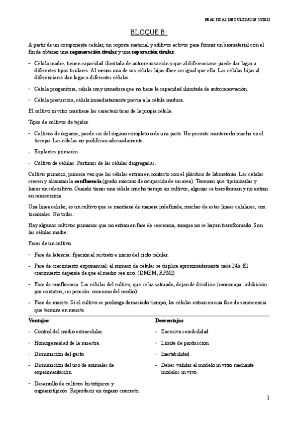 Miniatura del documento BLOQUE-B.pdf