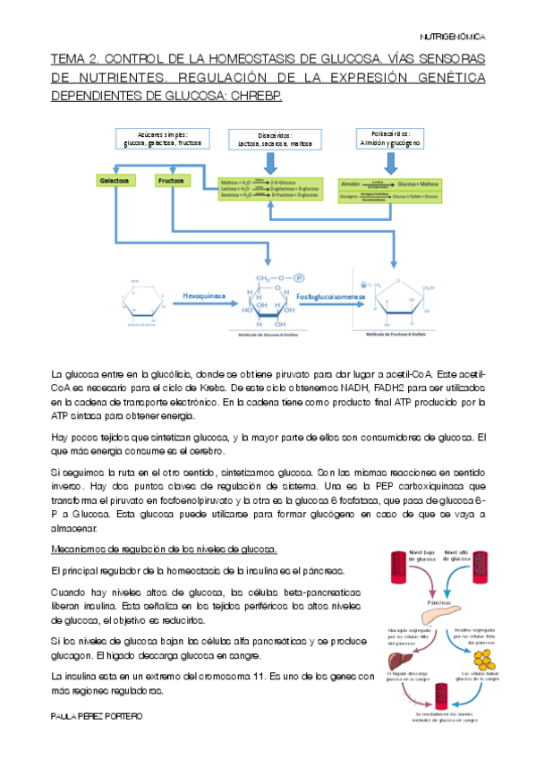 Miniatura del documento TEMA-2.pdf
