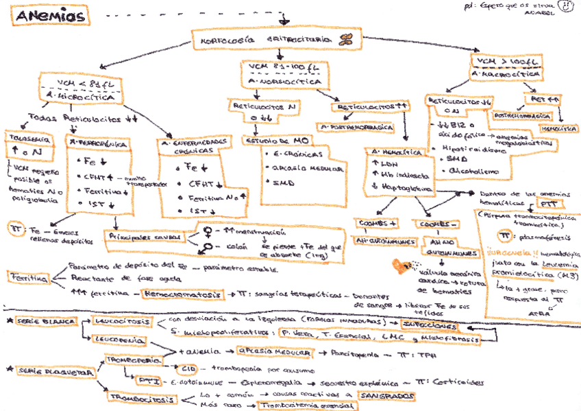 Miniatura del documento esquema-anemias.pdf