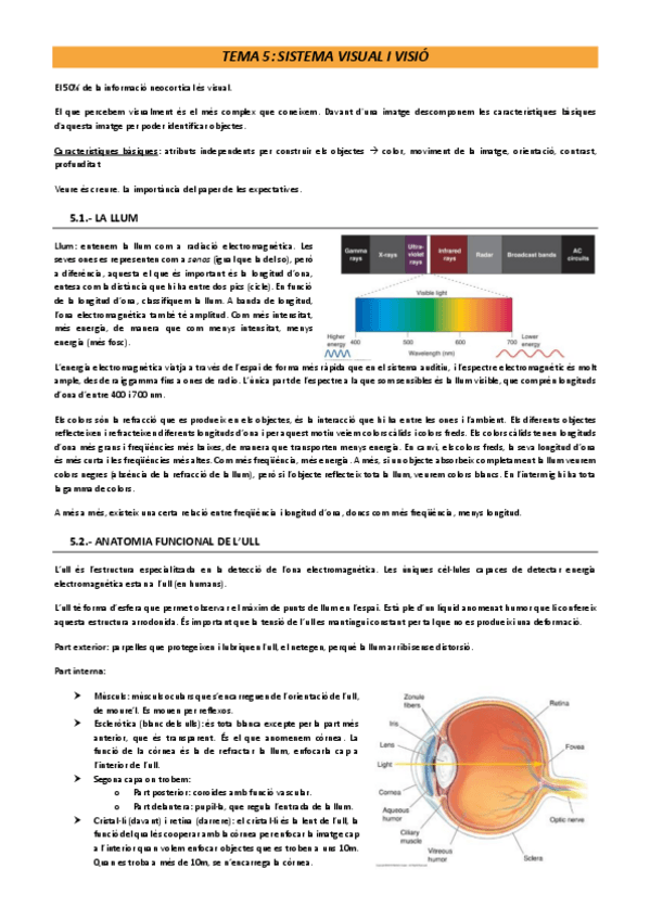 Miniatura del documento Tema-5-psicofisiologia.pdf
