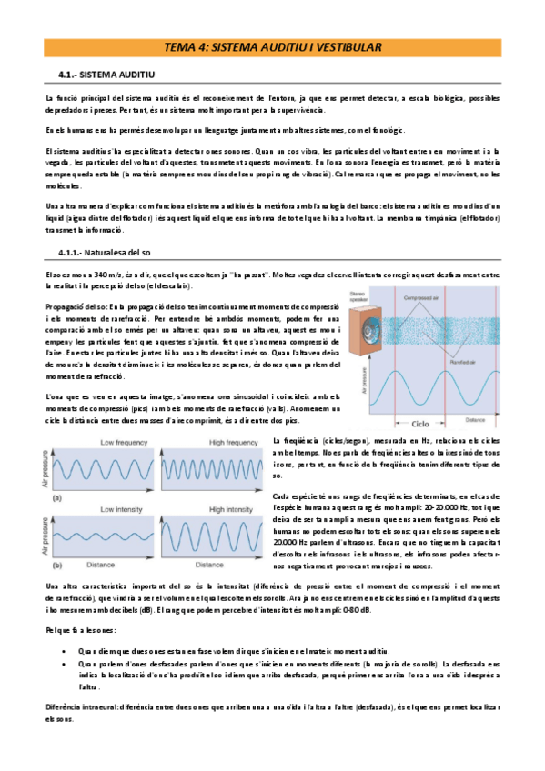 Miniatura del documento Tema-4-psicofisiologia.pdf