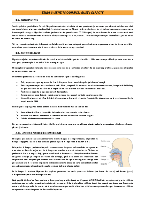 Miniatura del documento Tema-3-psicofisiologia.pdf