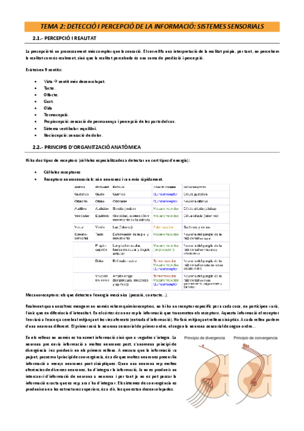 Miniatura del documento Tema-2-psicofisologia.pdf