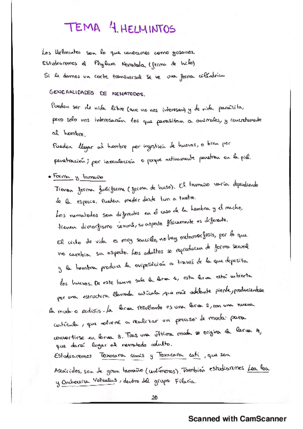 Miniatura del documento TEMA 3. HELMINTOS (NEMATODOS)
