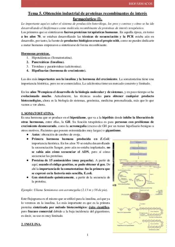 Miniatura del documento Tema-5-Biofarmacos.pdf