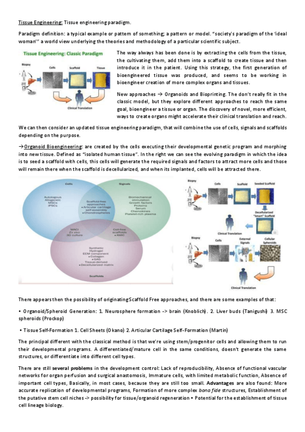 Miniatura del documento TissueEngineeringParadigmNico.pdf