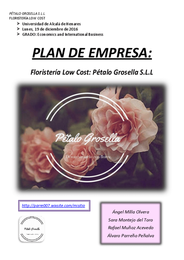 Miniatura del documento PLAN-DE-EMPRESA.pdf