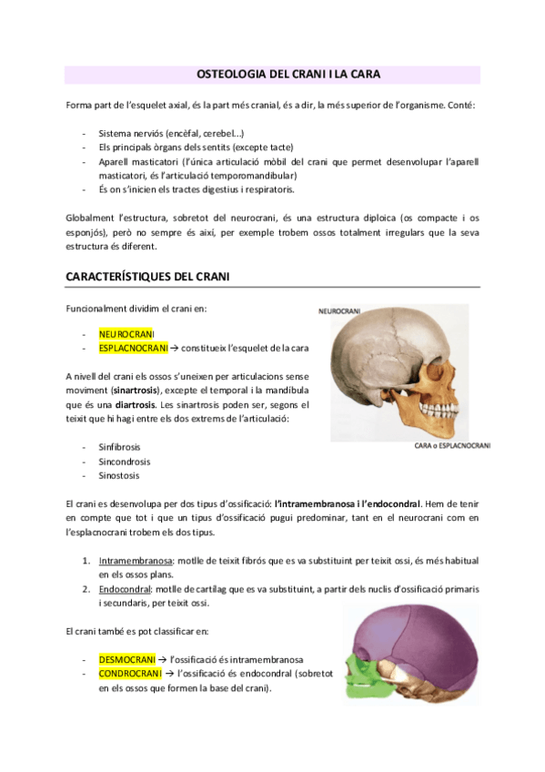 Miniatura del documento SEMINARIS-CRANI.pdf