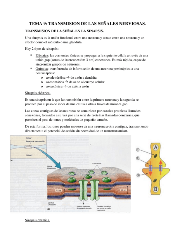 Miniatura del documento TEMA-9-terminado.pdf