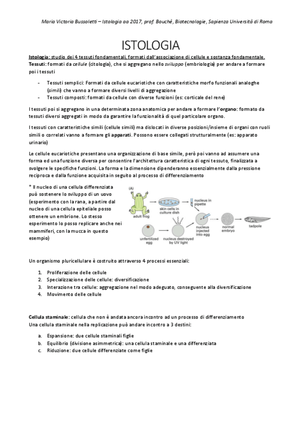 Miniatura del documento ISTOLOGIAappunti.pdf