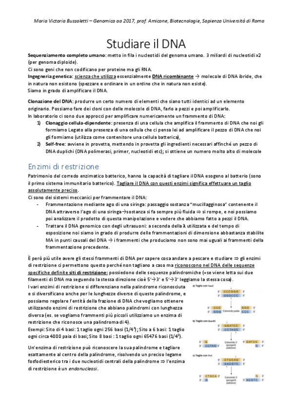 Miniatura del documento GENOMICAappunti.pdf