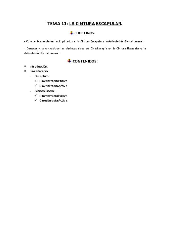 Miniatura del documento TEMA-11-CINESITERAPIA.pdf
