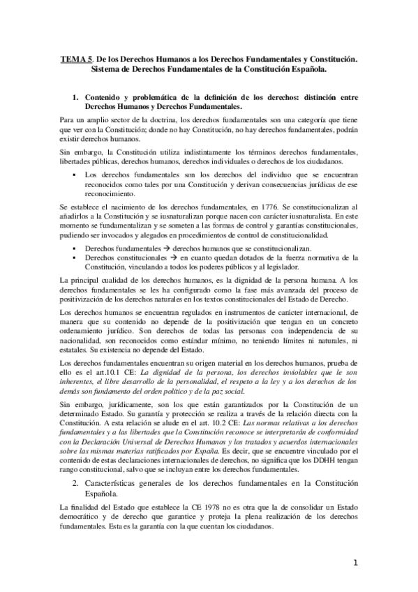 Miniatura del documento Tema-5-Derechos-humanos.docx