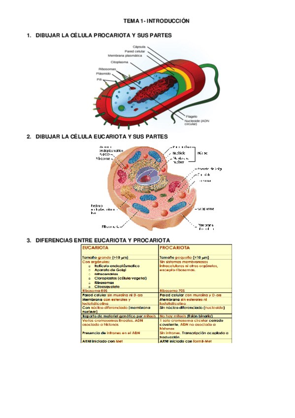 Miniatura del documento PREGUNTAS-MICRO-ultima-edicion.pdf