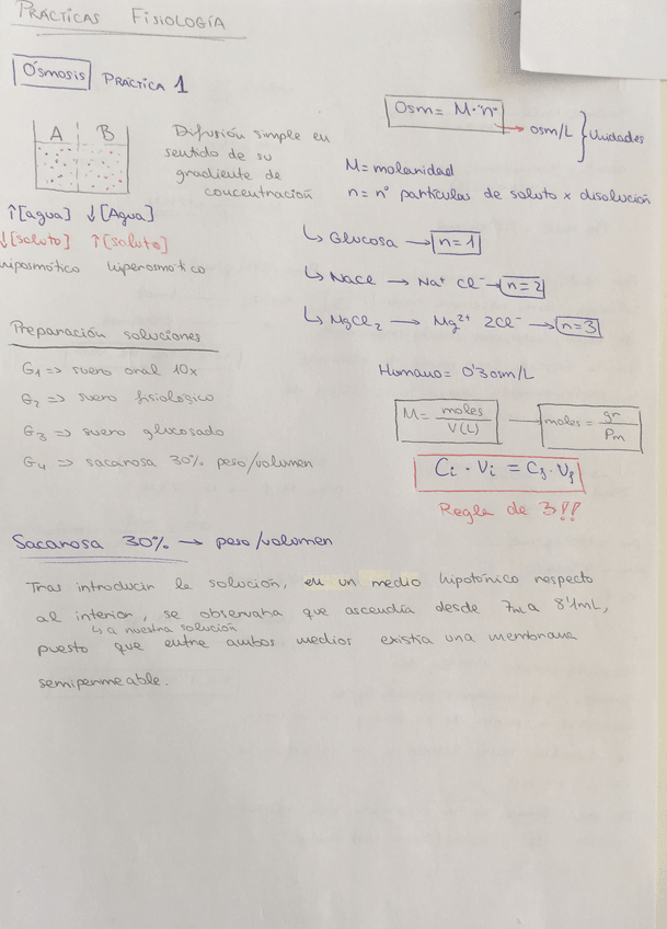 Miniatura del documento IMG3792.jpg