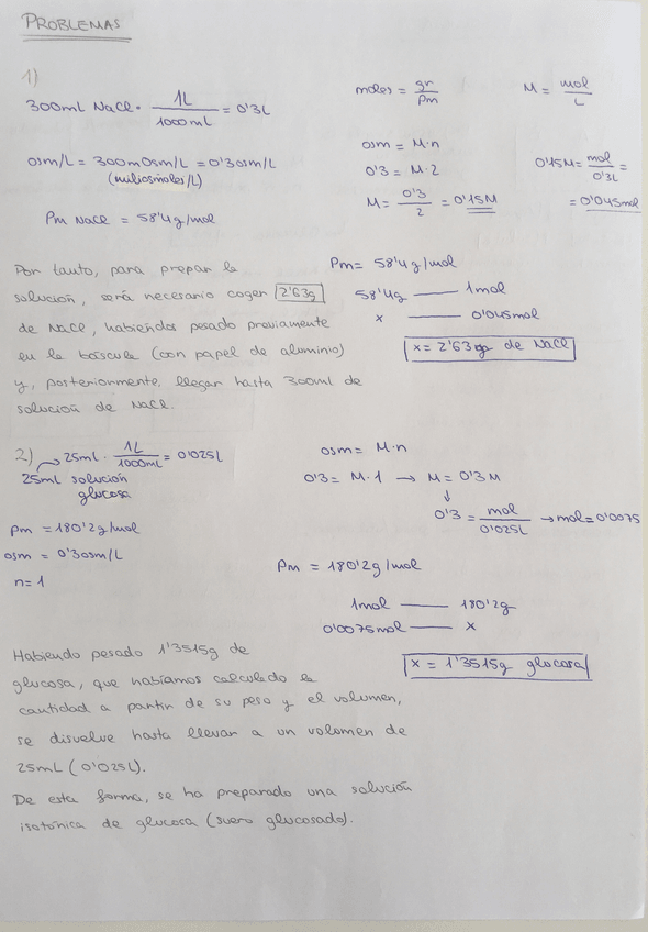 Miniatura del documento IMG3793.jpg