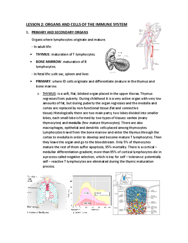 Miniatura del documento LESSON-2.pdf