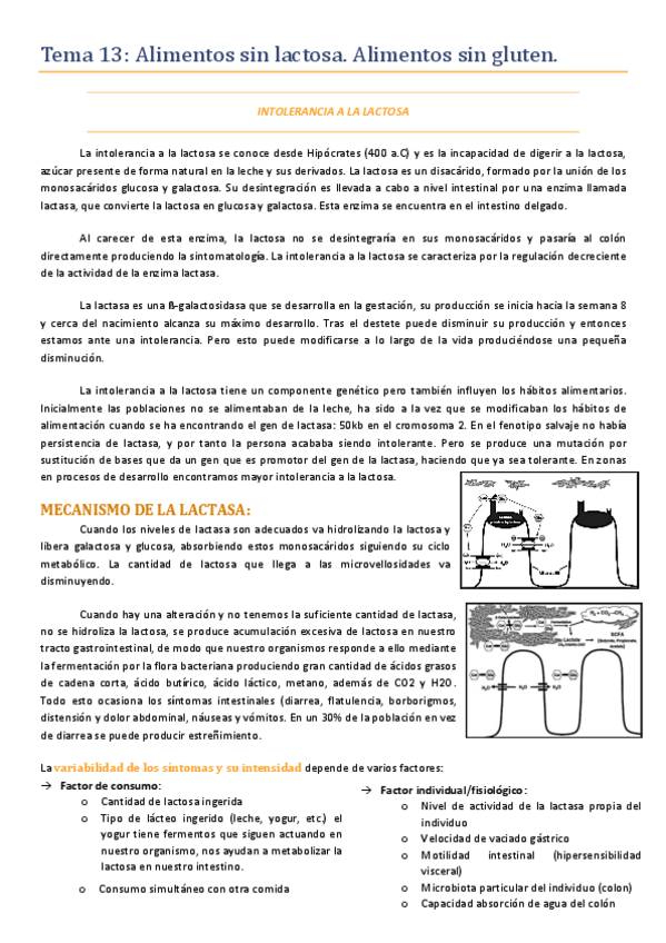 Miniatura del documento Tema-13.pdf